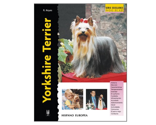 yorkshire-terrier2